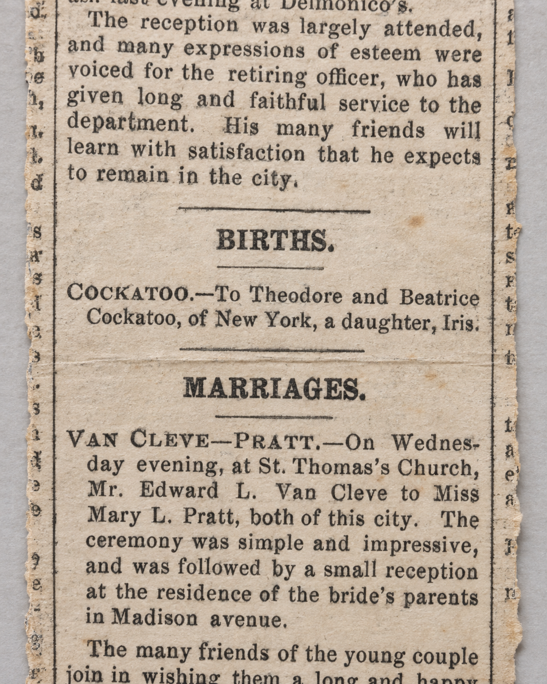 Birth announcement naming Theodore and Beatrice Cockatoo as Iris’s parents