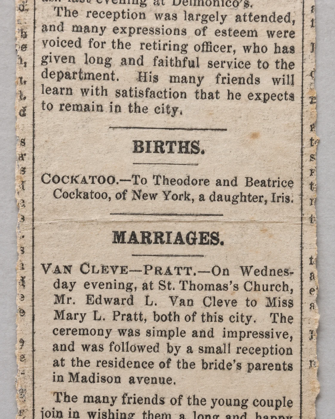 Newspaper birth notice naming Theodore and Beatrice Cockatoo of New York as the parents of Iris.
